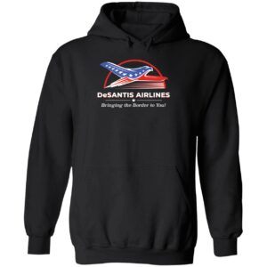Desantis Airlines Bringing The Border To You Hoodie