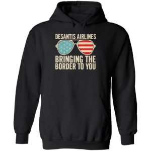 Desantis Airlines Bringing The Border To You Sunglasses Hoodie
