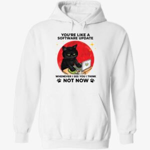Black Cat You're Like A Software Update Whenever I See You I Think Hoodie