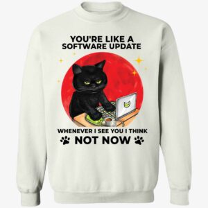 Black Cat You're Like A Software Update Whenever I See You I Think Sweatshirt