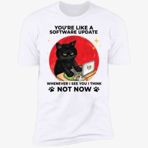 Black Cat You're Like A Software Update Whenever I See You I Think Premium SS T-Shirt