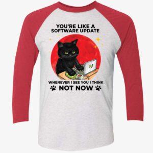 Black Cat Youre Like A Software Update Whenever I See You I Think Shirt 9 1