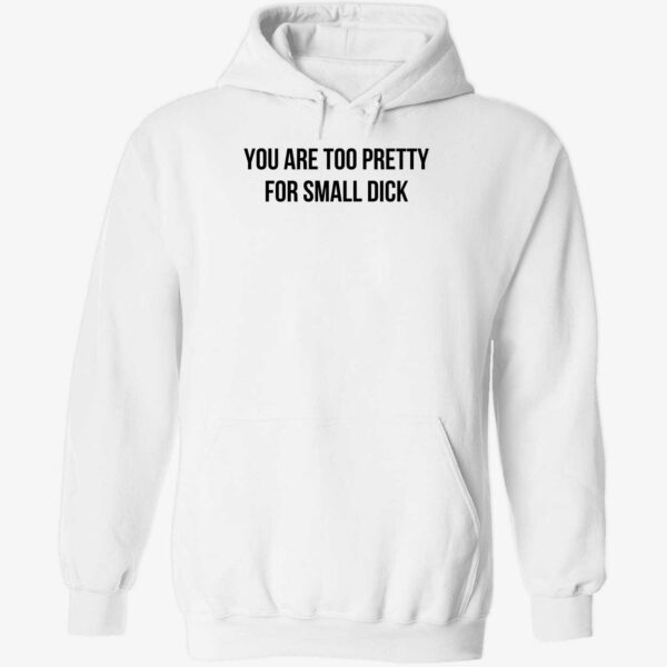You Are Too Pretty For Small Dick Shirt 2 1