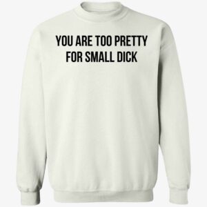 You Are Too Pretty For Small Dick Shirt 3 1