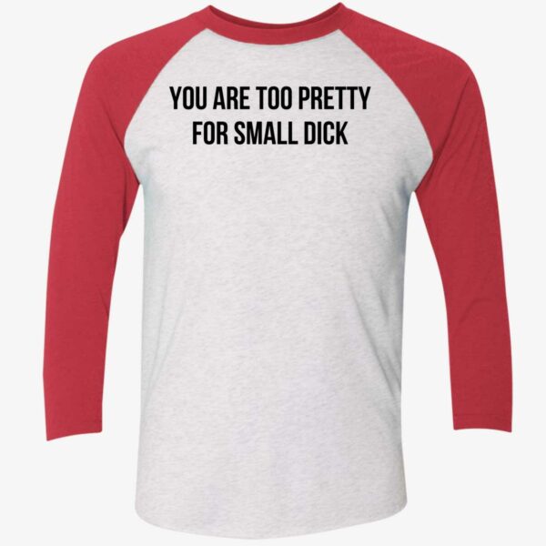 You Are Too Pretty For Small Dick Shirt 9 1