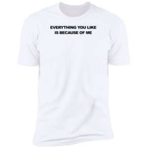 Everything You Like Is Because Of Me Premium SS T-Shirt