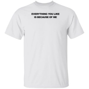 Everything You Like Is Because Of Me Shirt