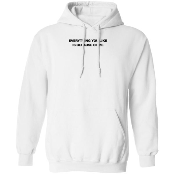 Everything You Like Is Because Of Me Hoodie